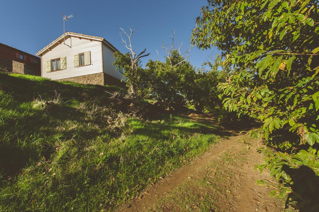 La Brizna Guest House Canamero Exterior photo
