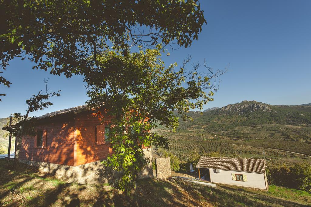 La Brizna Guest House Canamero Room photo