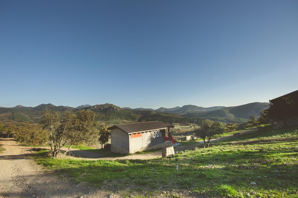 La Brizna Guest House Canamero Exterior photo