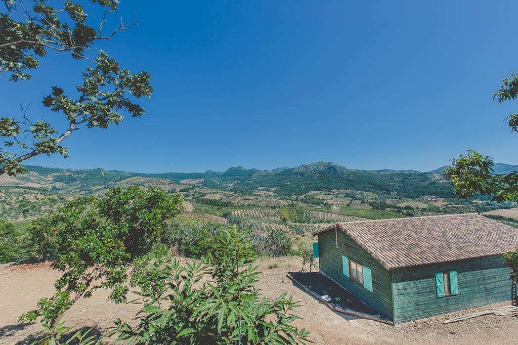 La Brizna Guest House Canamero Room photo